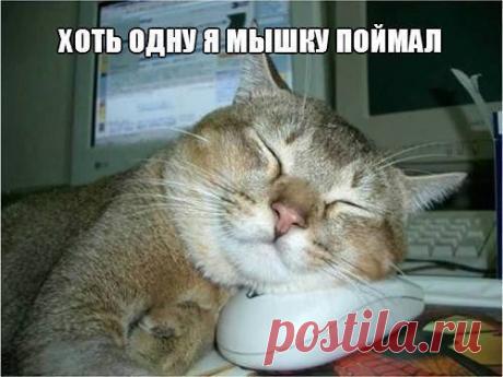 Михаил Мартынов