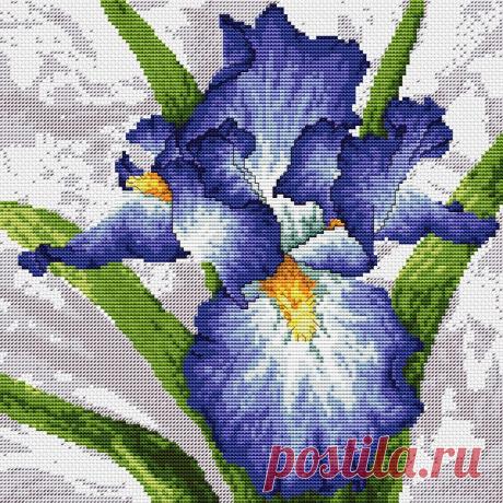 Вышивка крестом ирис. Cхемы вышивки крестом  без регистрации новинки Вышивка крестом ирис. Cхемы вышивки крестом  без регистрации новинки