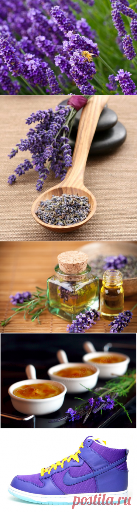 Что изобрели из лаванды?