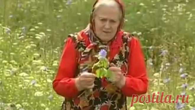 Советы и подсказки Зайцевой Е.Ф.