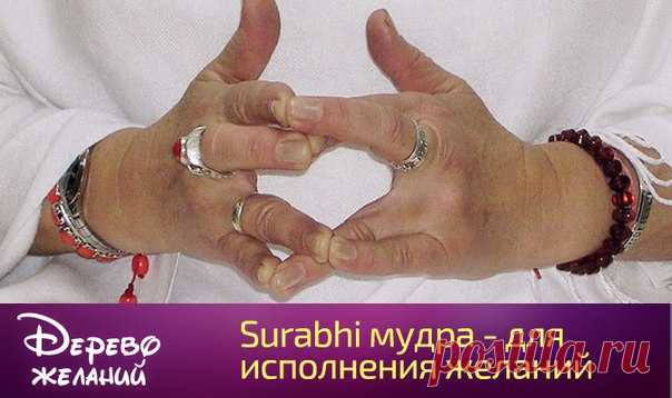 Surabhi мудра - для исполнения желаний