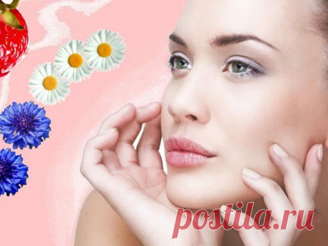 Елена Толстоногова