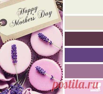 Design Seeds® | find your palette