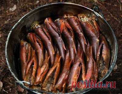 Коптильня из ведра своими руками