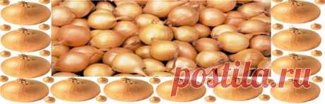 Блюда с овощами и мясом птицы, из овощей, колбаса домашняя, блюда из мяса и рыбы