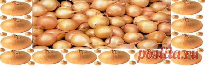 Блюда с овощами и мясом птицы, из овощей, колбаса домашняя, блюда из мяса и рыбы