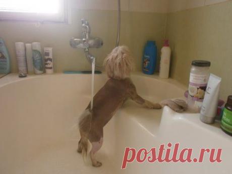 Одноклассники