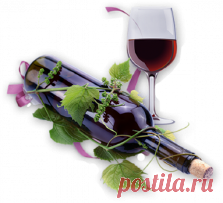 Дневник lkrasnoperka---как пить вино