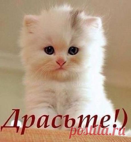 Фразы,Высказывания,Стихи,Цитаты,Видео...
Елена Станова