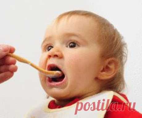 Страна советов: Кулинария