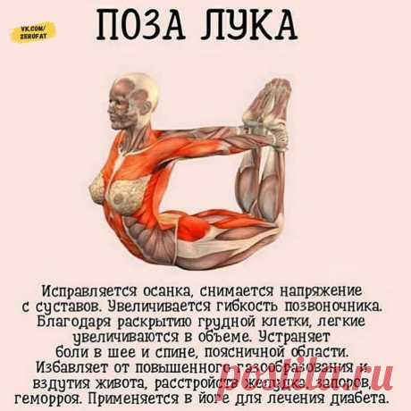 Подборка самых полезных асан для вашего здоровья