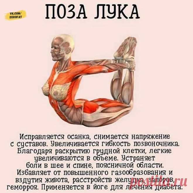 Подборка самых полезных асан для вашего здоровья