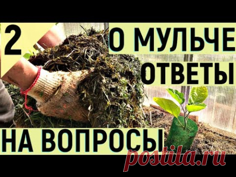 АКТИВНАЯ МУЛЬЧА КАК ПОВЫСИТЬ ПЛОДОРОДИЕ часть2