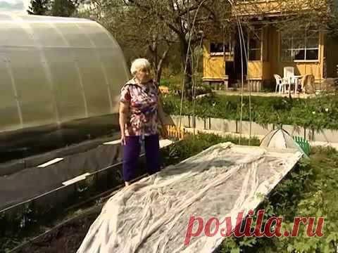 Г.КИЗИМА. ОГОРОД БЕЗ ХЛОПОТ. ПОСОБИЕ ДЛЯ РАЗУМНО Л