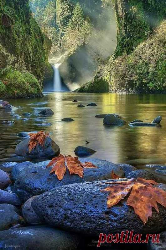 Google+