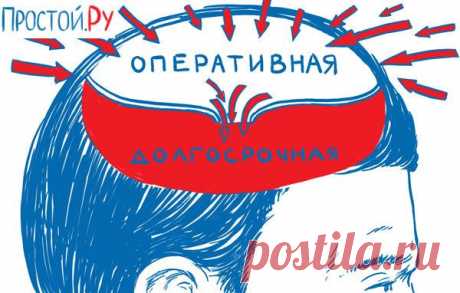 Психологи разобрались, почему, выходя из комнаты, мы забываем, зачем шли - Искусство здоровой жизни