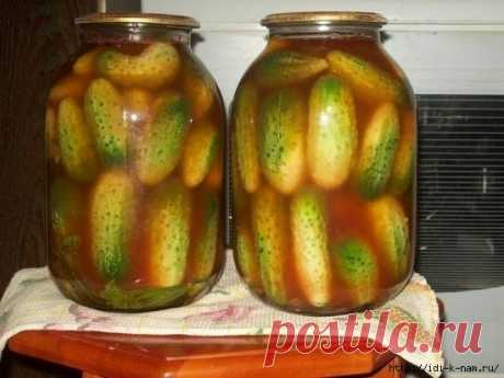 вкусные маринованные огурчики с кетчупом