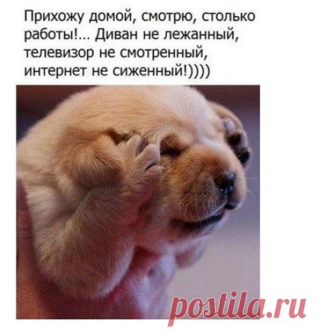 Приходит еврей в контору и спрашивает: — У вас евреи работают?..
Делу время, а потехе час подумал сосед в два часа ночи-отложил дрель и взял скрипку.
Не знаете, как похудеть? - Стакан воды за три дня до еды.
Помогите! Мой друг накурился!!! Он сел в стиральную ма…