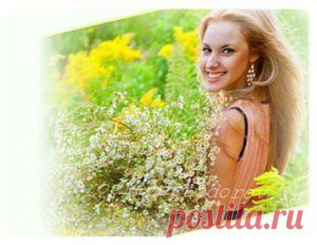 Травы для регулирования уровня гормонов..