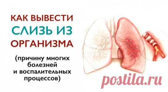 Как вывести слизь из организма и стать здоровее на 10 лет?
Избыточное образование слизи в организме — причина многих заболеваний и воспалительных процессов. Когда мы съедаем вареную, обработанную пищу, образуется слизь. 
С годами она накапливается, и если тело не справляется со своевременным очищением, слизь начинает заполнять все полости нашего тела. В первую очередь страдают легкие, бронхи, желудок. Когда её собирается много, слизь поднимается наверх и выходит через нос.
Частые простуд