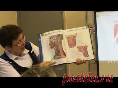 Курсы лимфатического массажа