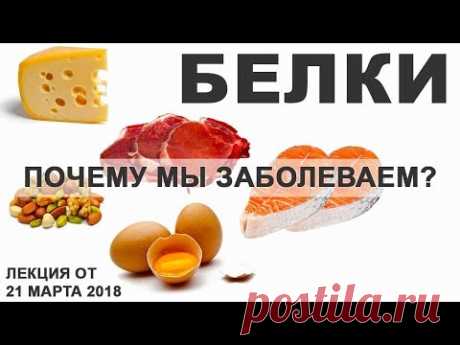 Белки. Как мы заболеваем? Алименко А.Н. (14.03.2018)