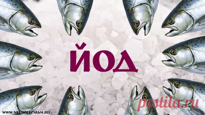 Недостаток йода в организме. Как преодолеть его дефицит и в чем состоит лечение?

Выбор этой темы связан с тем, что даже в наши дни, йодным дефицитом страдают в более 150 стран в мире.

Как вам такой показатель? Имейте в виду, что на нашей Земле около 197 стран, а в 150 стран существуют проблемы с нехваткой йода...