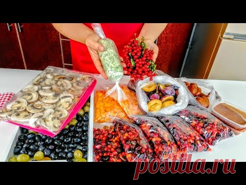 Хорошо что успела ЗАМОРОЗИТЬ! Большая заморозка (заготовка) продуктов / ОСЕНЬ