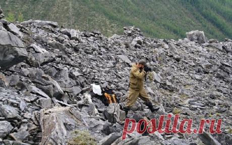 Где гнездится огненный орел: загадка Патомского кратера