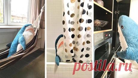 16 примеров сокрушительного чувства юмора, который обезоруживает напрочь Отличное чувство юмора — бесценное качество, которое нет смысла скрывать. Наши герои и не собираются этого делать.
Они упражняются в остроумии, сдавая жилье в аренду, гуляя с младенцем или просто нах...