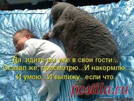 ПОЗИТИВНЫХ ВЫХОДНЫХ...))) (фото) | Давай поговорим