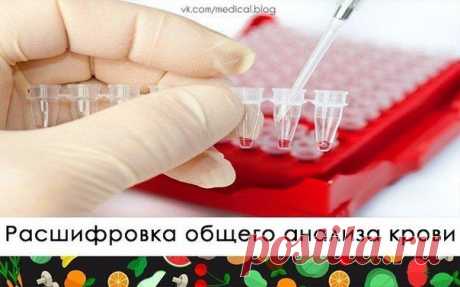 РАСШИФРОВКА ОБЩЕГО АНАЛИЗА КРОВИ