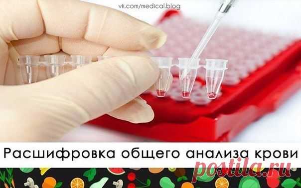 РАСШИФРОВКА ОБЩЕГО АНАЛИЗА КРОВИ