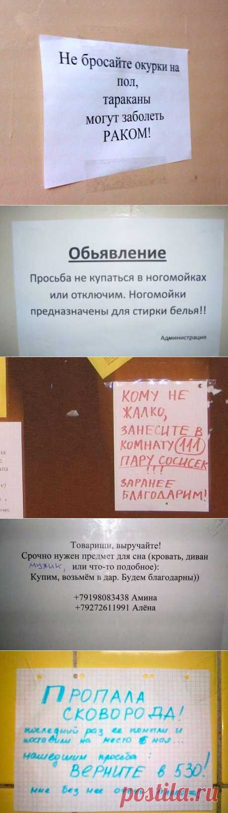 Приколы в общежитии :)