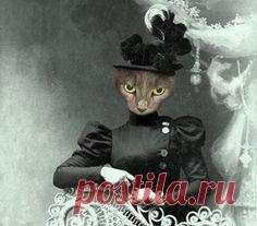 Мисс Quigly Винтаж Кот 5x7 печати антропоморфные на AnimalFancy