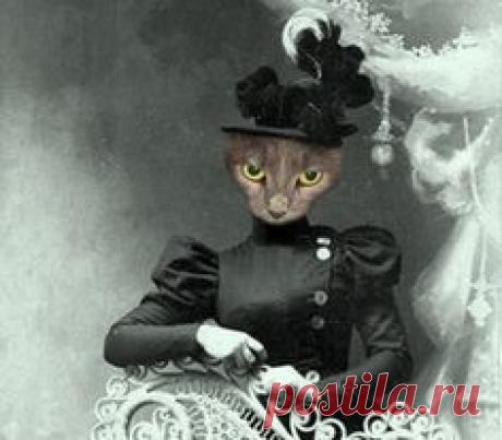 Мисс Quigly Винтаж Кот 5x7 печати антропоморфные на AnimalFancy