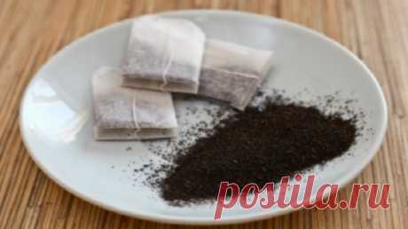 Она насыпала в блюдце чайную заварку и поставила на пол. Такого эффекта не ожидала! | Naget.Ru