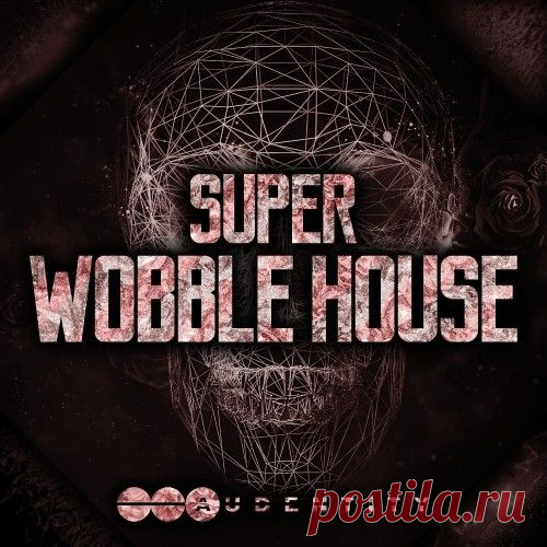 Audentity Records Super Wobble House WAV MiDi  | 307MB
Finally here it is Super Wobble House the brand new producer samplekit from Audentity. AR delivers a huge pack with everything you need to make new powerful Wobble House tracks the pack is full of inspirational melodies, fat wobble basslines, crazy synthleads, fx, presets, one-shots, drumsounds, MIDI etc.

Download at:

https://audioclub.store/uncategorized/super-wobble-house-wav-midi/