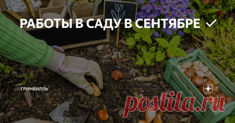РАБОТЫ В САДУ В СЕНТЯБРЕ ✅ Сентябрьская пора – одна из самых напряженных, ведь впереди надвигается сезон затяжных дождей и первых холодов. Световой день становится короче, а ночи уже не радуют теплом. Являясь «пограничным» месяцем, сентябрь объединяет конец лета и начало осени, поэтому в первые его недели садоводы еще могут успеть реализовать незавершенные дачные работы, которые следовало окончить в августе. В частности, это касается обработки и подготовки плодохранилищ и ...