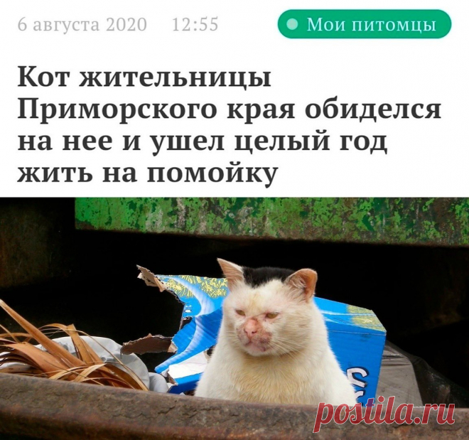 Вижу рифмы (@StatusyOk) / Twitter