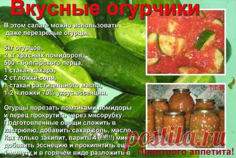 погребок | 37 фотографий