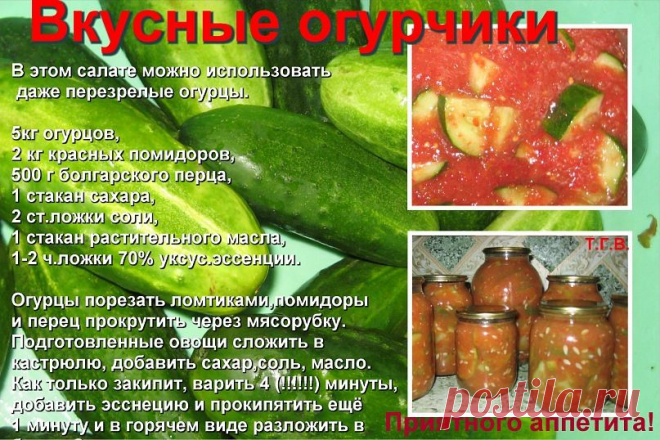 погребок | 37 фотографий