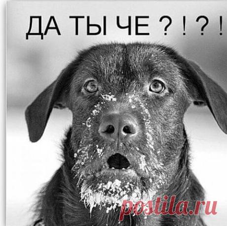 НЕ ВЕРЮ !!!
