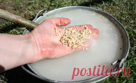 Бокаши по питательности превосходит навоз. Его придумали японцы. Расскажу простой рецепт приготовления. | Сад огород лайф. (Статьи) | Дзен