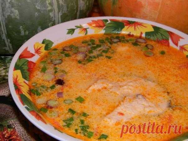 Королевский итальянский рыбный суп с овощами и сливками