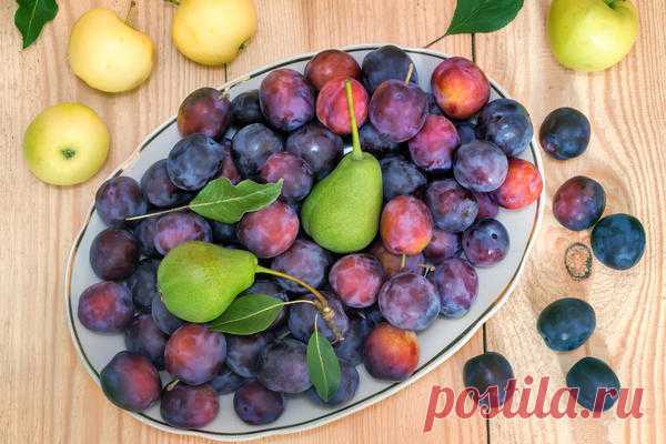 10 овощей и фруктов для хорошего пищеварения