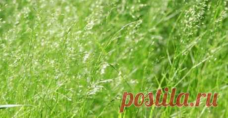 (12) Facebook