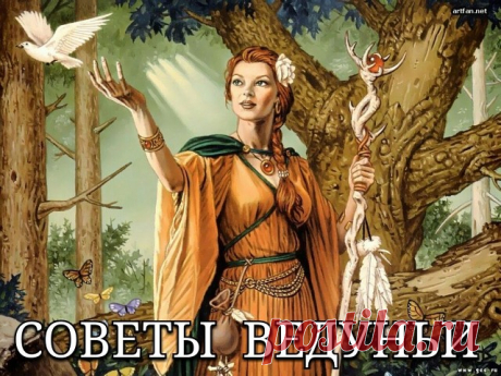 1 непрочитанный чат