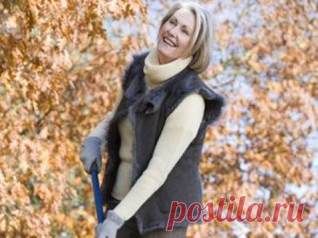 Поздняя осень: готовим участок к зиме и выращиваем многолетники