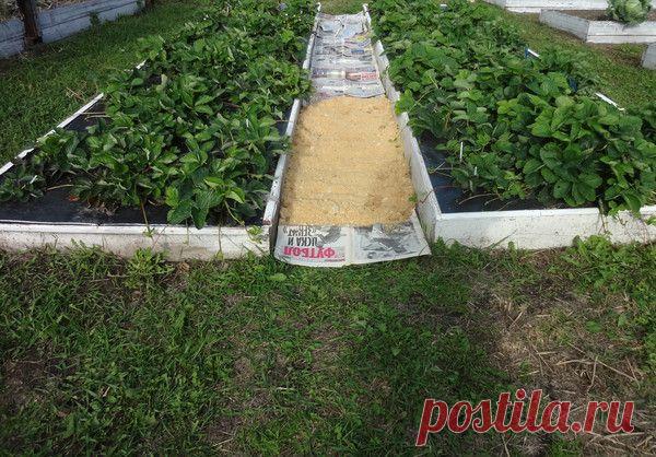 Как сделать чтобы в проходах трава не росла?.